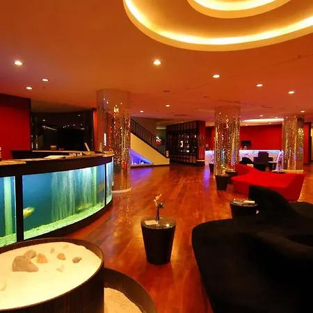 Goldcity 5-stars 2+1